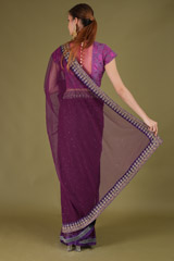 Wine Embroidered Net SareeDSC05405 2